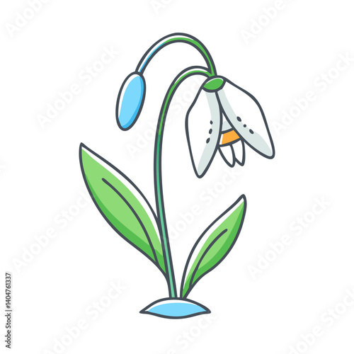Charming Illustration of a Delicate Snowdrop Flower with Drooping BellShaped Bloom and Vibrant Green Leaves