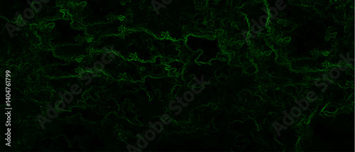 Abstract background with swirling green energy patterns. Nebula-inspired void, with glowing filaments and a deep, mysterious ambiance. Texture with subtle green wisps and thin swirling lines.