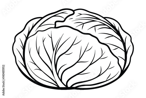 Black And White Cabbage Outline Fresh Vegetable Illustration Minimalist Style Simple Design Healthy Eating Culinary Element