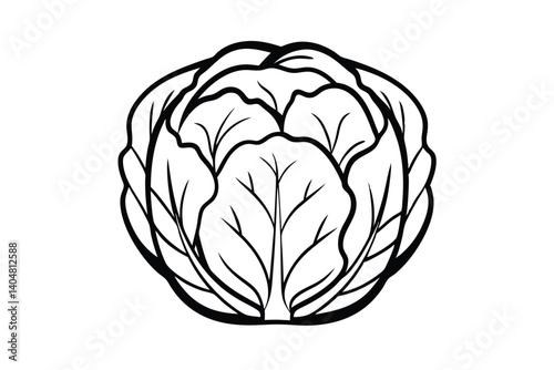 Cabbage Line Art Vector Illustration Fresh Vegetable Outline Design Food Ingredient Minimalist Drawing Simple Black And White Icon