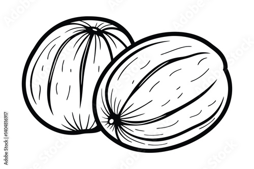 Vector Illustration Of Two Melons Outlined In Black Ink Perfect For Summer Designs And Creative Projects