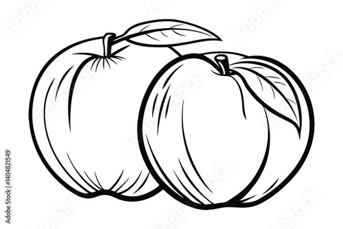 Two Fresh Apples With Leaves Black And White Line Art Illustration Ready For Coloring Book Designs