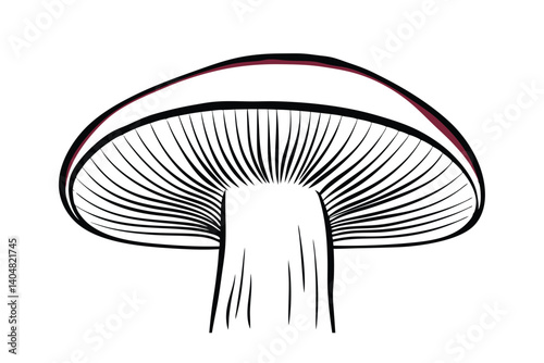 Mushroom Illustration Minimalist Black And White Fungi Graphic Simple Outline Drawing Natural Organic Botany Mushroom Foraging Edible Fungus Plant Ingredient