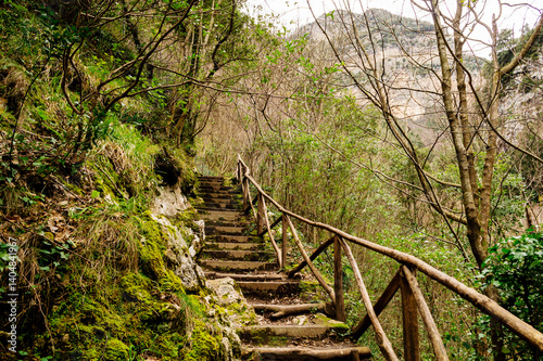 Stairs on hiking path Valle delle Ferrierie. The path between ferns, streams and waterfalls. 