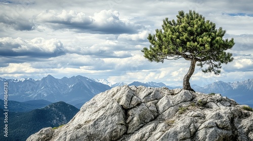 Lonely pine tree on a rocky mountain slope with open sky