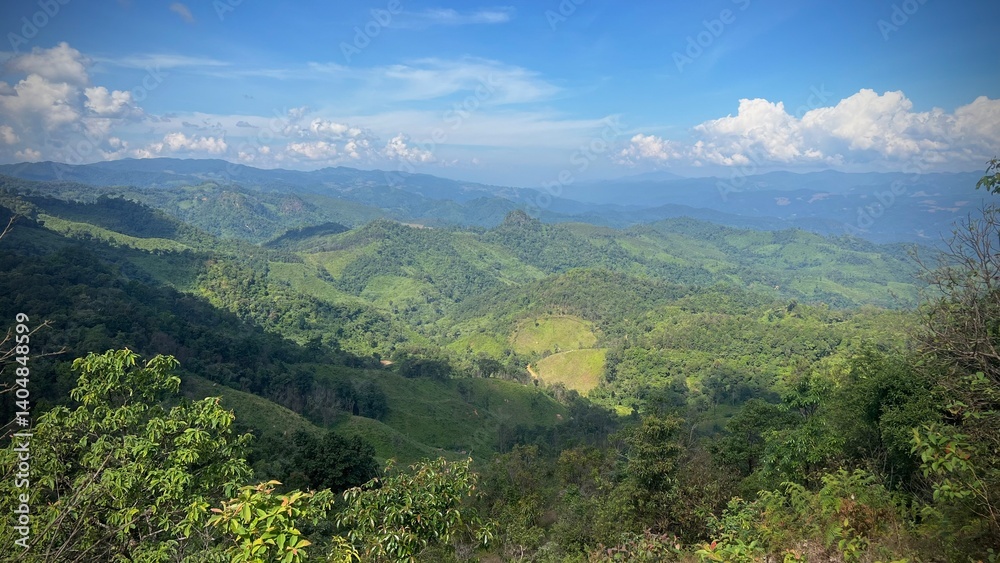 Naklejka premium Panoramic view of beautiful green valley with blue sky. 