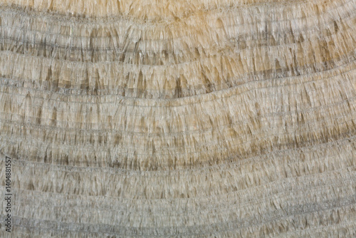 Your new perfect texture for strict design.