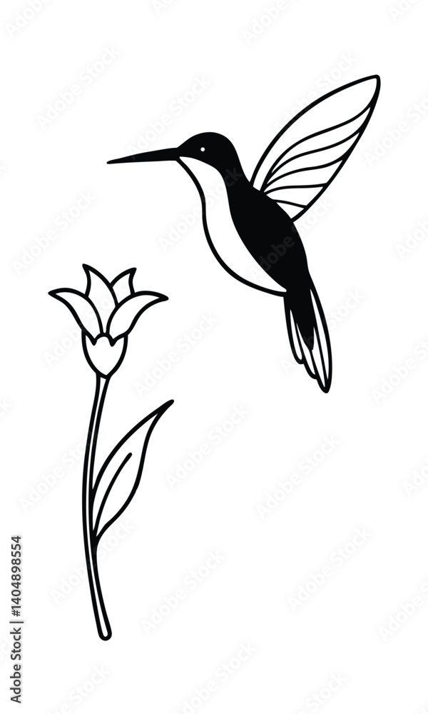 Fototapeta premium Elegant Hummingbird And Flower Illustration In Black And White Line Art Perfect For Design And Decoration Projects