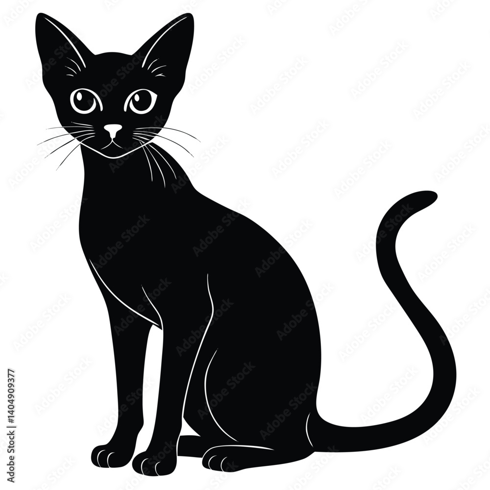 abyssinina cat vector abyssinina cat vector