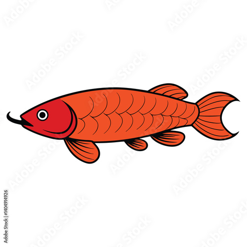 arowana on white background