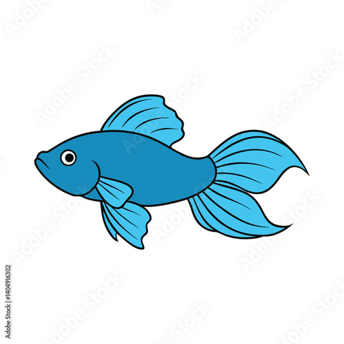  betta on white background