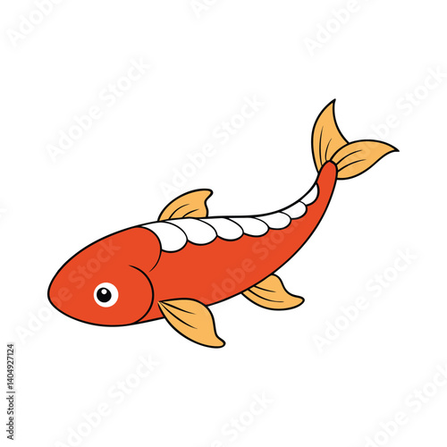  koi on white background.