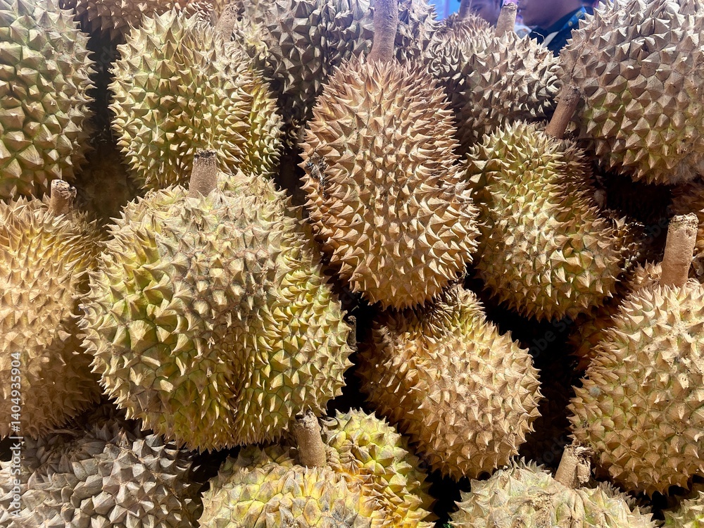 A pile of fresh durians with thorny husks displayed in an outdoor market, highlighting the exotic texture and unique appeal of this tropical Southeast Asian fruit. A pile of fresh durians with thorny husks displayed in an outdoor market, highlighting the exotic texture and unique appeal of this tropical Southeast Asian fruit.