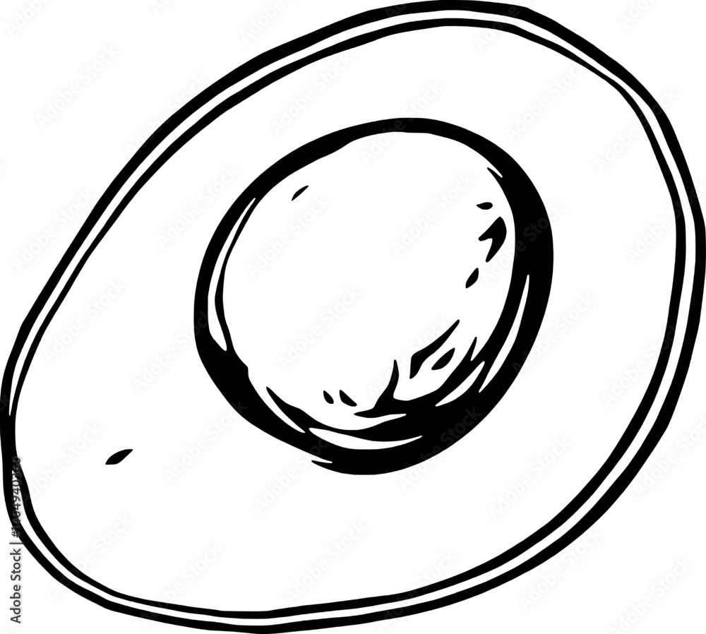 Hand-Drawn Sketch Of A Halved Avocado Showing Seed And Flesh Hand-Drawn Sketch Of A Halved Avocado Showing Seed And Flesh