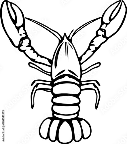 A Detailed Line Drawing Of A Lobster Viewed From Above