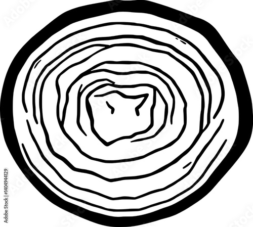 Cross-Section Drawing Of A Circular Onion Showing Concentric Rings