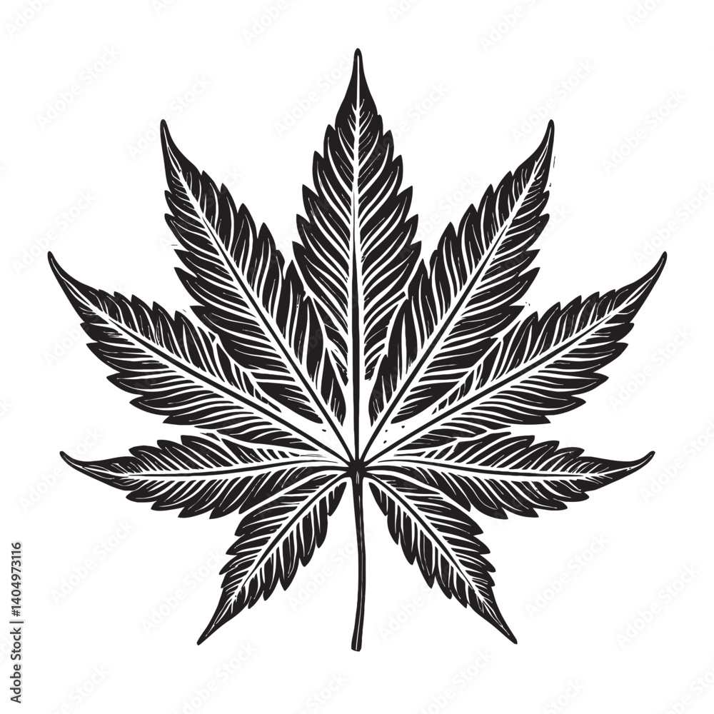 Detailed Illustration of a Single Maple Leaf in Artistic Style Detailed Illustration of a Single Maple Leaf in Artistic Style