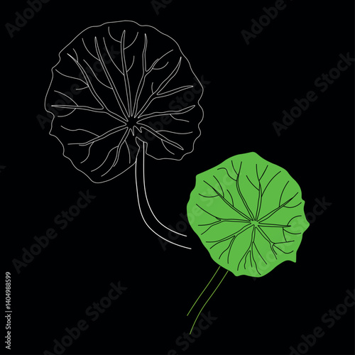 continuous line drawing of vector illustration of different type of leaves.