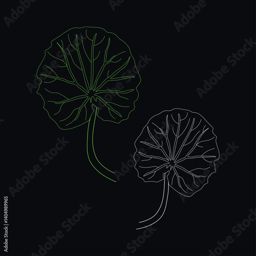 continuous line drawing of vector illustration of different type of leaves.