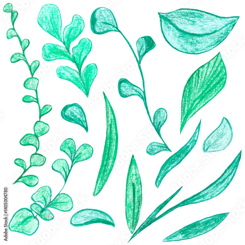 set of green leaves and twigs, raster hand drawing with colored pencils, decorative element, white background