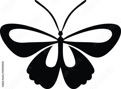 Butterfly Silhouette with Wing Patterns