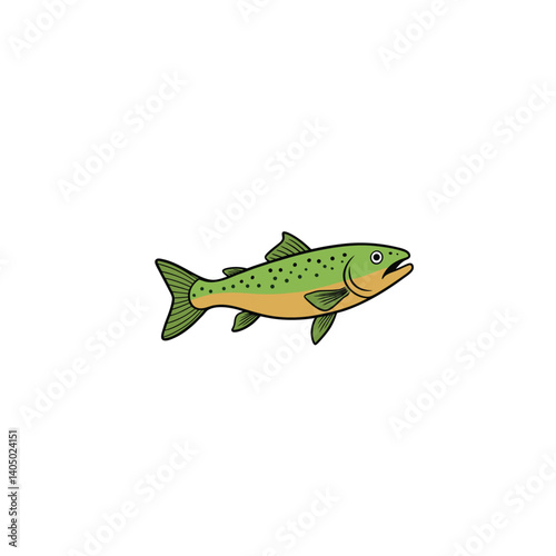 trout fish on white background