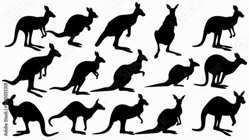 set of kangaroo silhouette vector on white background
