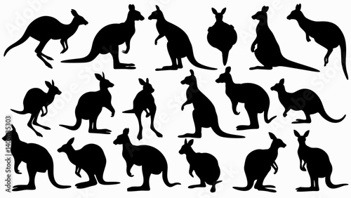 set of kangaroo silhouette vector on white background