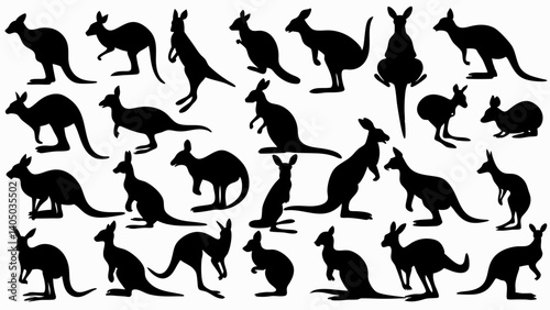 set of kangaroo silhouette vector on white background