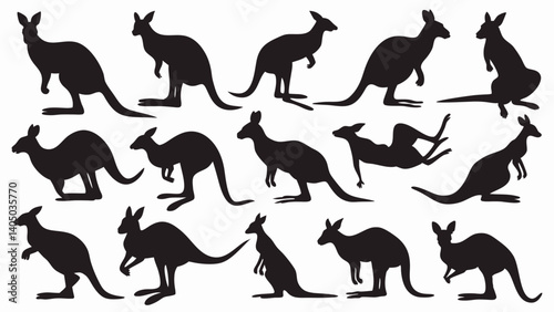 set of kangaroo silhouette vector on white background