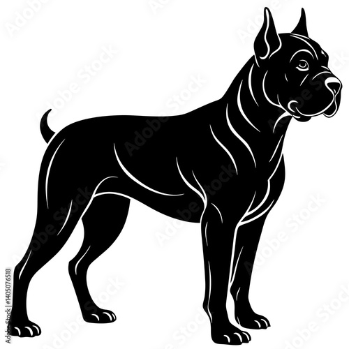 Majestic Cane Corso: Powerful, Loyal, and Elegant Dog Breed Portrait k9 pet grey cute pets dogs puppy