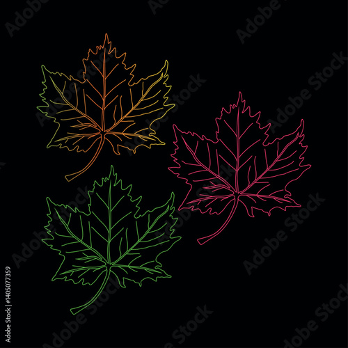 continuous line drawing of vector illustration of different type of leaves.