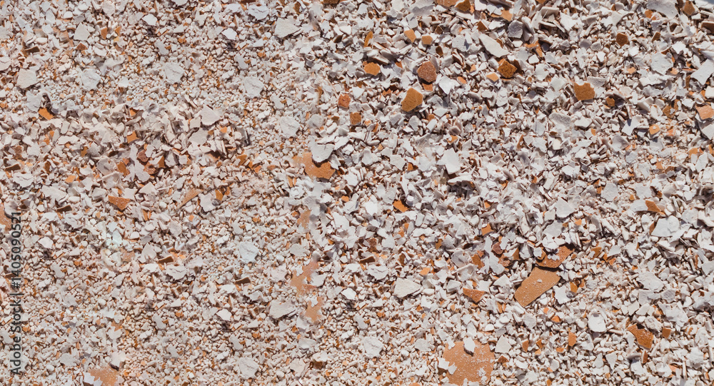 Fotografie Textured image of crushed eggshells