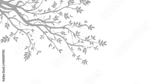 Branches et feuilles grises en PNG transparent : motif végétal délicat pour design, illustration naturelle et superposition facile