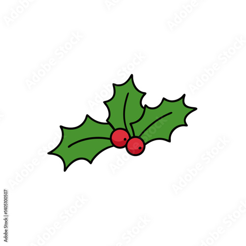 holly berries and holly