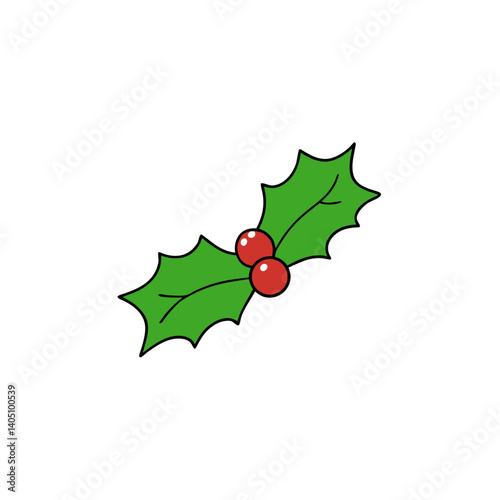 holly leaves and berries