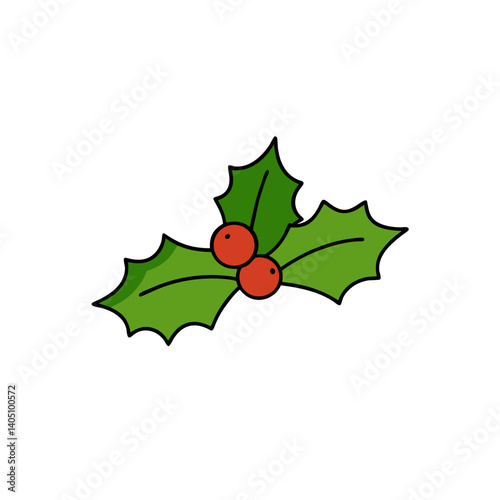 holly leaves and berries