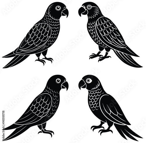 Isolated avian silhouettes depict a set of wild birds with varied beak and wing shapes against a white backdrop