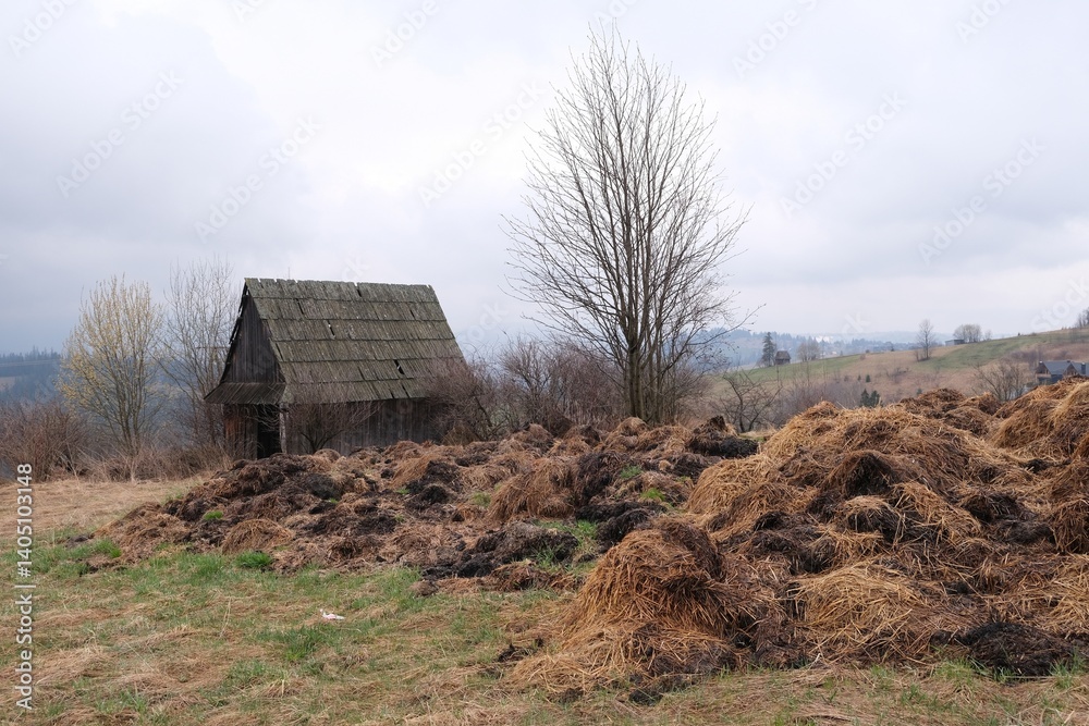 Misty scenery of rural landscape with old wooden cottage and stack of dry grass, around Gliczarow Gorny, Podhale, Poland