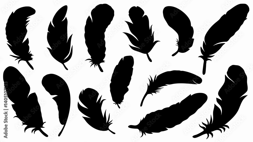 set of feather silhouette vector on white background set of feather silhouette vector on white background