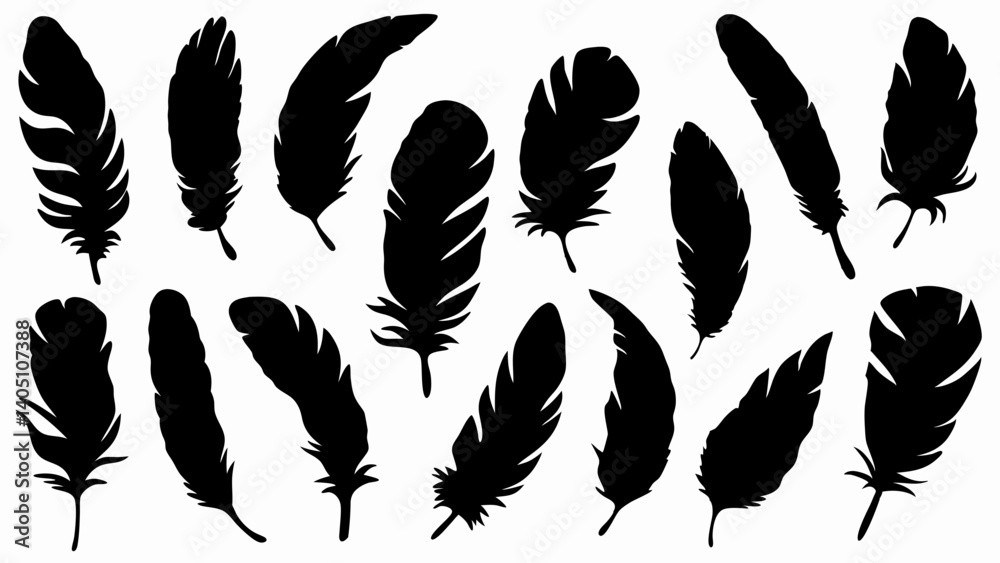set of feather silhouette vector on white background
