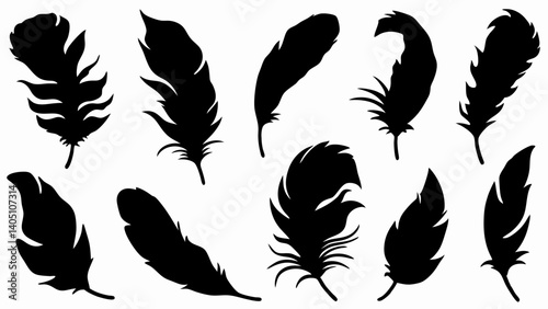 set of feather silhouette vector on white background
