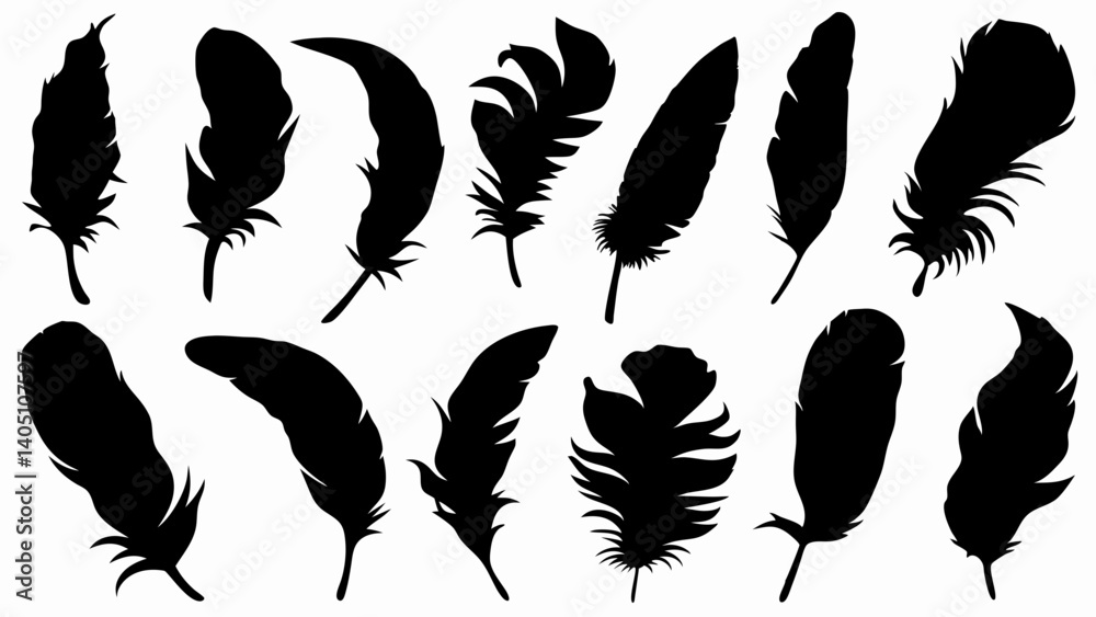 set of feather silhouette vector on white background