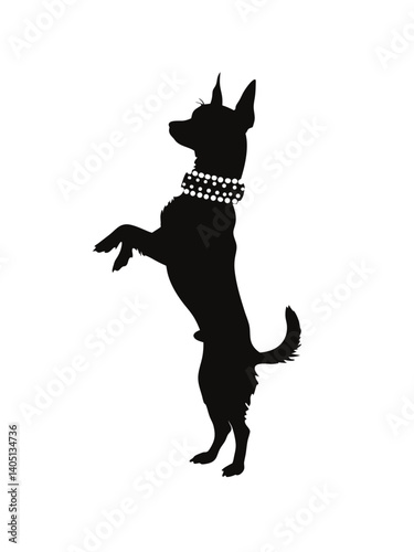 Dog Standing on Hind Legs in Playful Pose