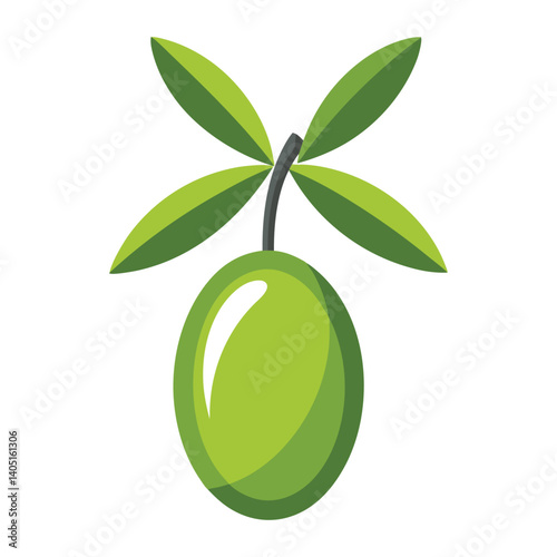 Vector of olive oil labels. Olive tree, branches and drop. Black olives. Green olives.