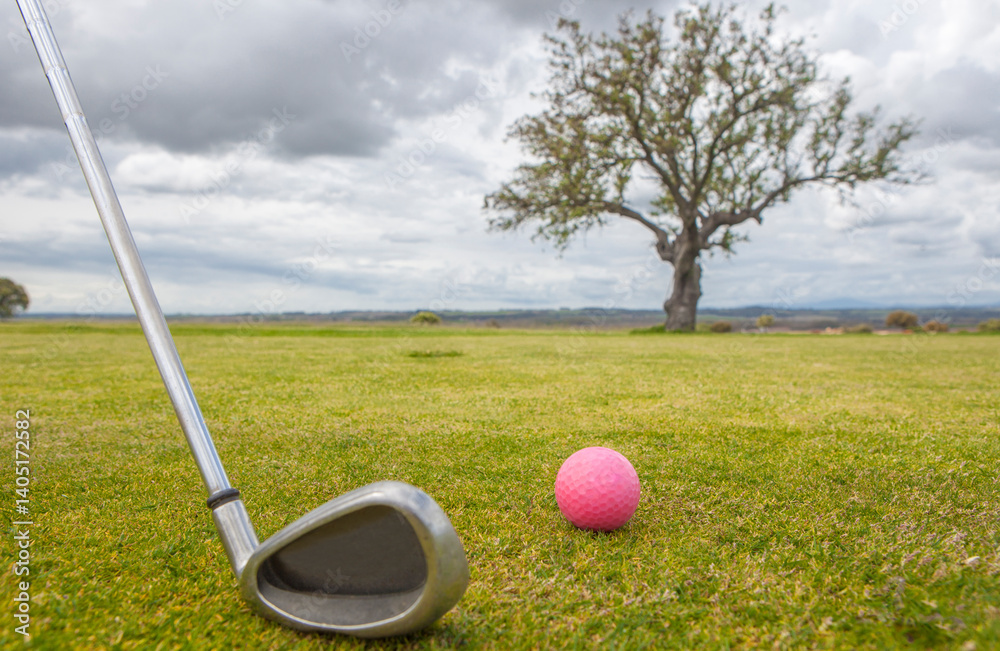 Golf green area surrounded by mediterranean holm oak forest