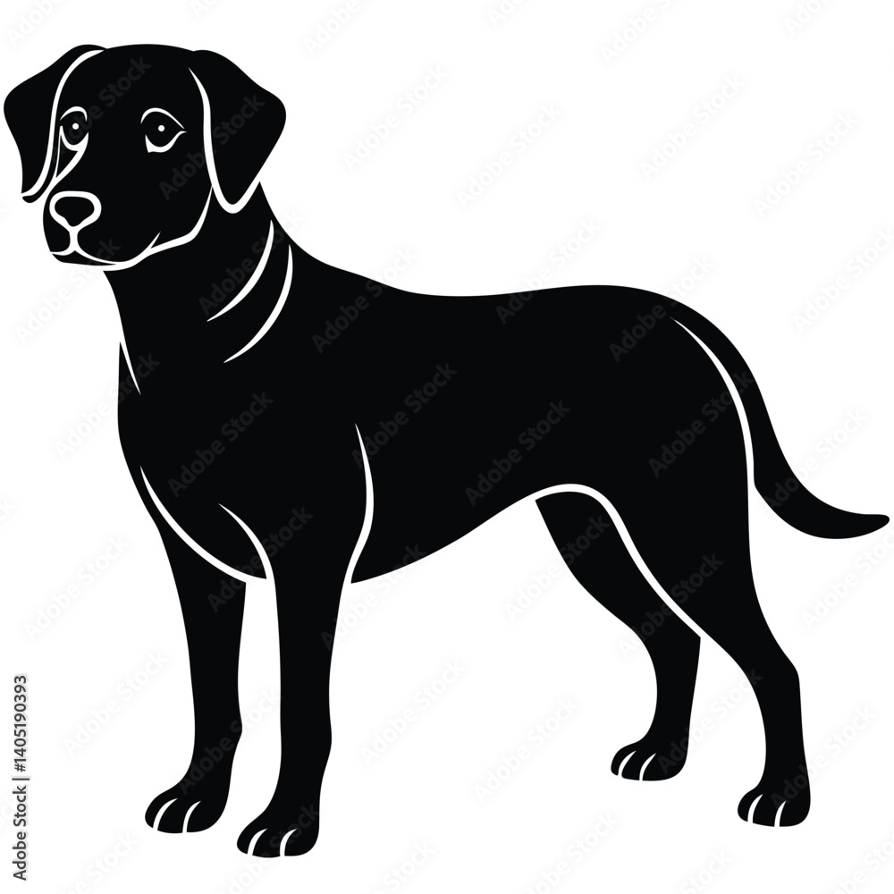 Fototapeta premium labrador vector sihouette with a white beckground