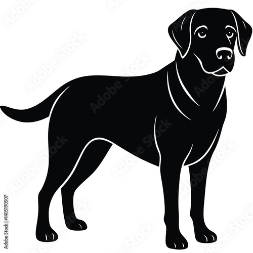 labrador vector sihouette with a white beckground