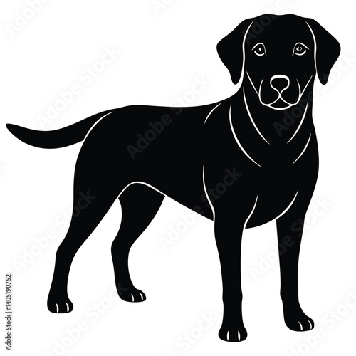 labrador vector sihouette with a white beckground