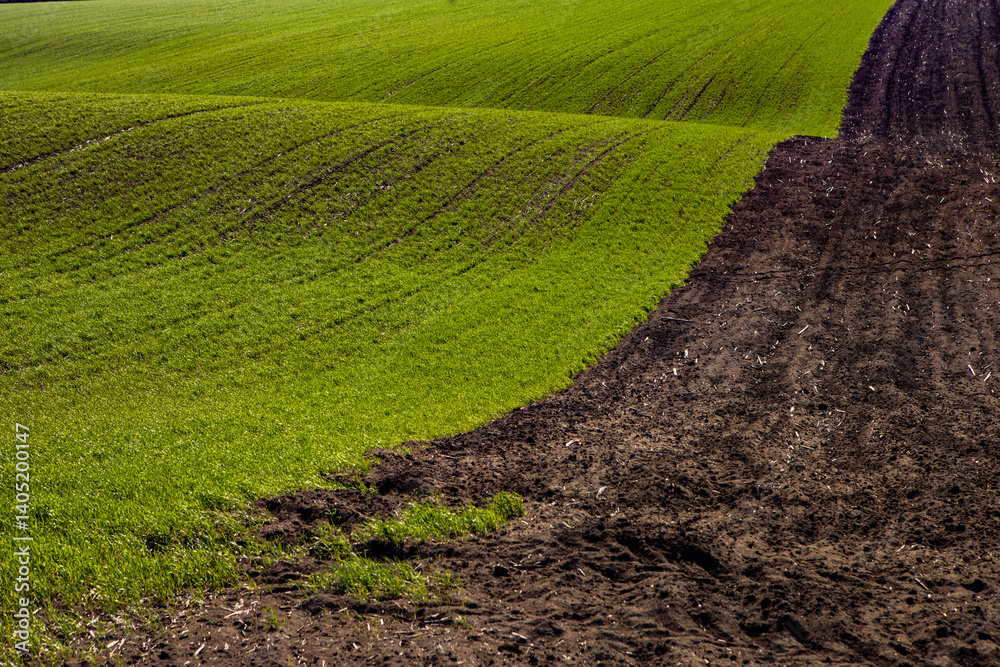 Agricultural field in the spring at sunset. Rural landscape. Landscape with a plowed field.